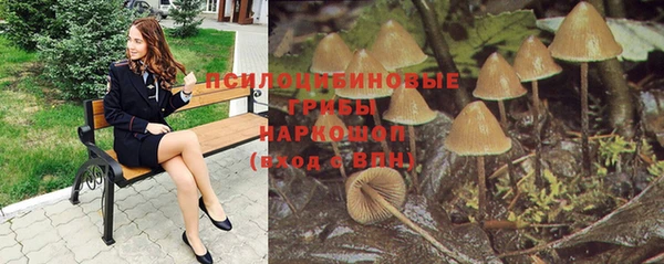 jwh Алзамай