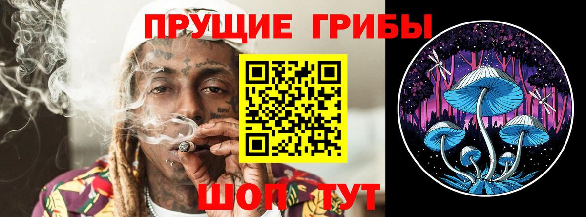 Железноводск  Галлюциногенные грибы Cubensis  наркота  Вход с VPN 